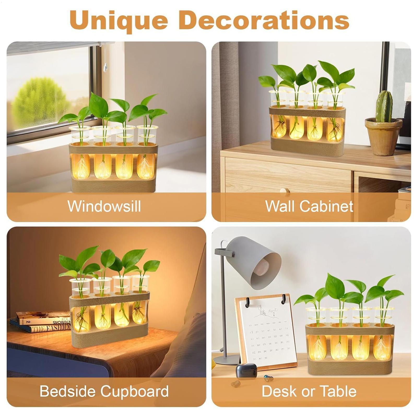 LED植物繁殖ステーション 水耕栽培ガラス試験管テラリウム  - Home Office With Plants のレビューと価格