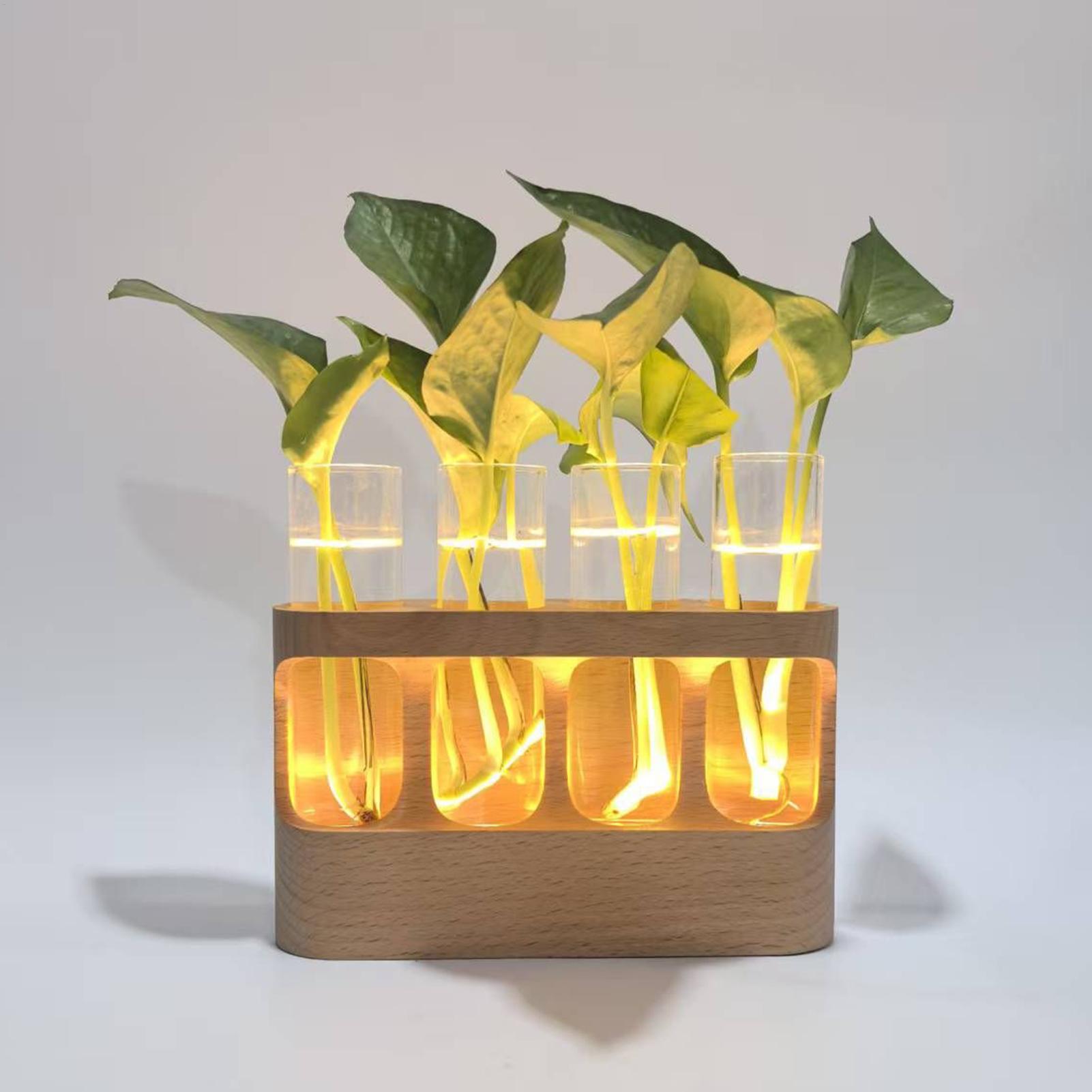LED植物繁殖ステーション 水耕栽培ガラス試験管テラリウム  - Home Office With Plants のレビューと価格