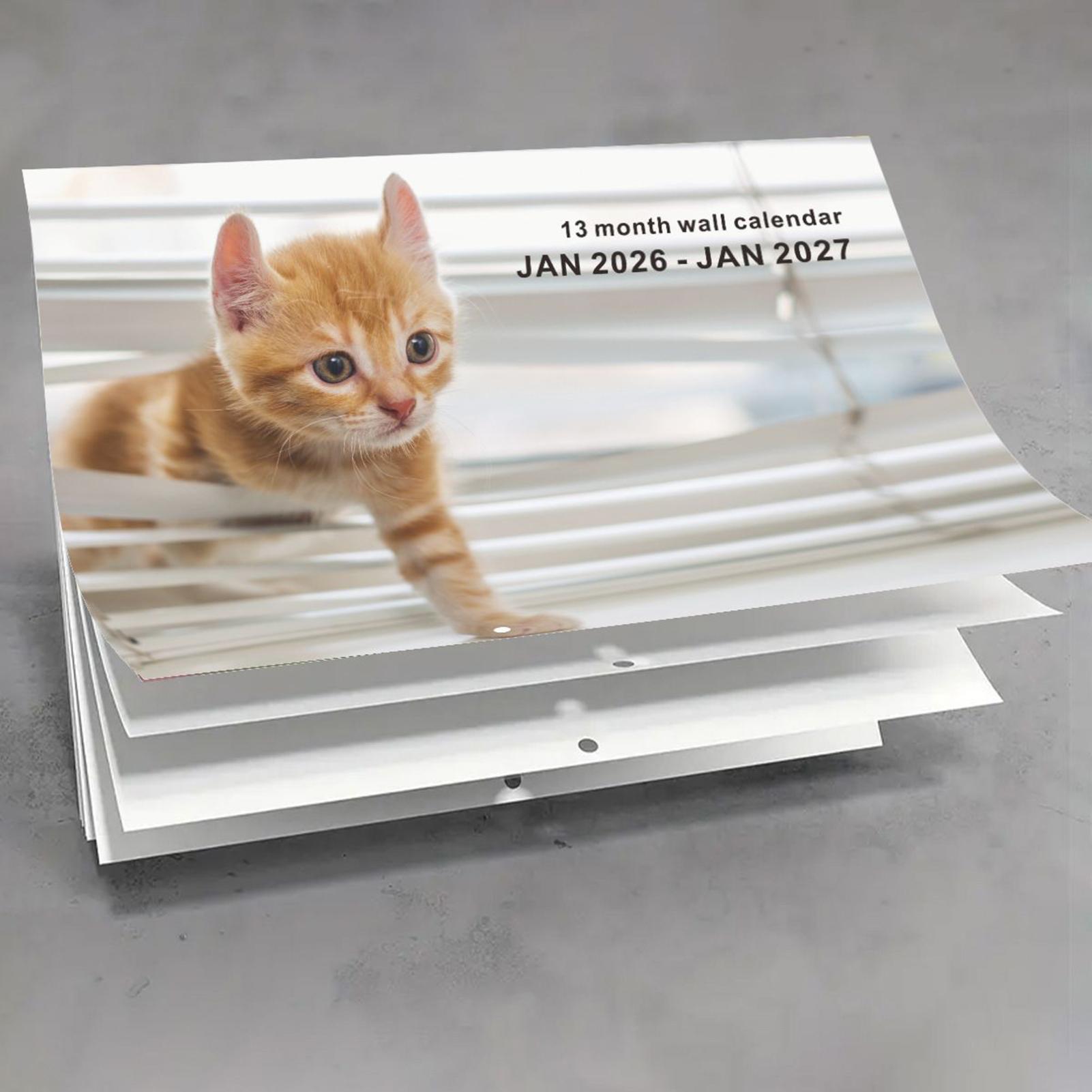 2026 猫英語壁掛けカレンダー 13 か月計画 猫スタイル - English Home Office のレビューと価格