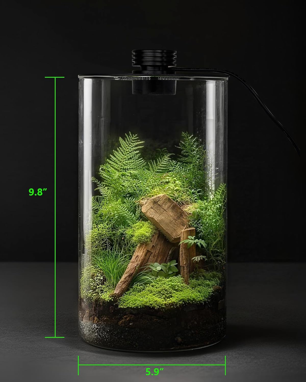 屋内ガラス製テラリウム（育成ライト付き）、高さ9.8インチ× - Home Office With Plants のレビューと価格