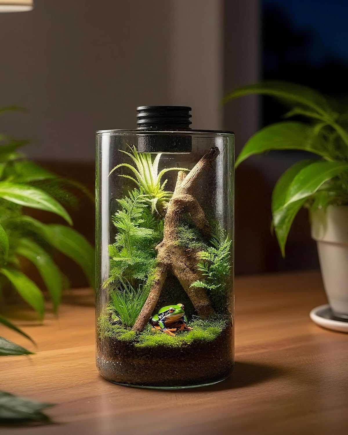 屋内ガラス製テラリウム（育成ライト付き）、高さ9.8インチ× - Home Office With Plants のレビューと価格